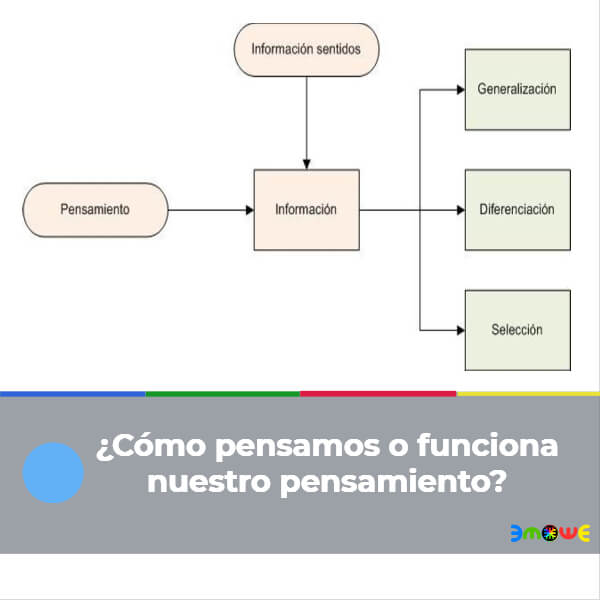 ¿Cómo pensamos o funciona nuestro pensamiento?