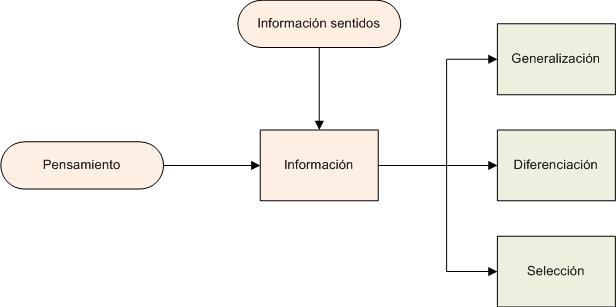 Diagrama: como funciona nuestro pensamiento