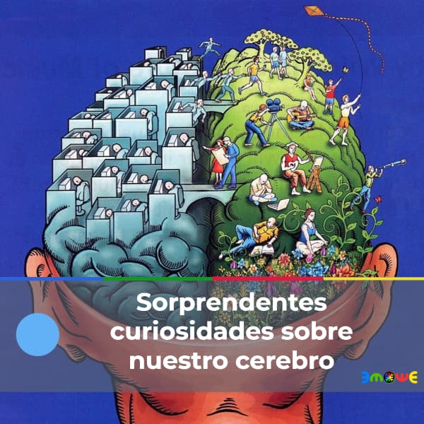Sorprendentes curiosidades sobre nuestro cerebro