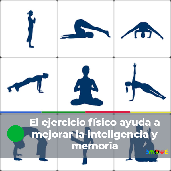 El ejercicio físico ayuda a mejorar la inteligencia y memoria
