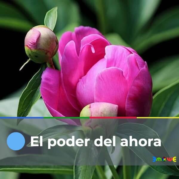 El poder del ahora