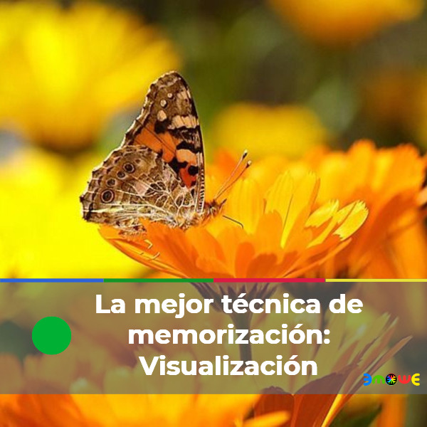 La mejor técnica de memorización: Visualización