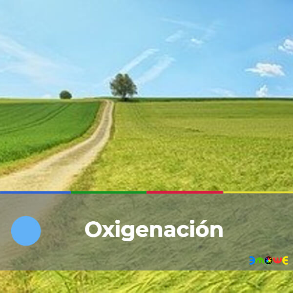 Oxigenación