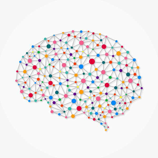 Modelos mentales Relación inteligencia y memoria
