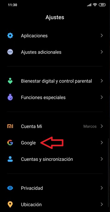 Opción Google