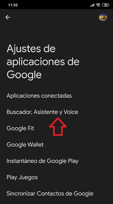 Buscador, Asistente y Voice