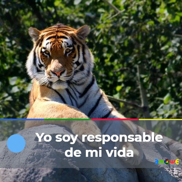 Yo soy responsable de mi vida